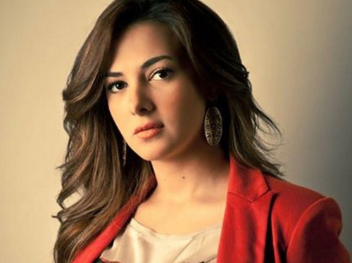 ليلة دنيا سمير غانم الكبيرة