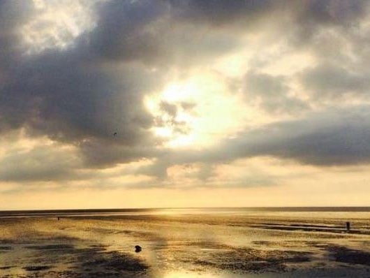 'وجه من الجنة' يظهر في السماء!