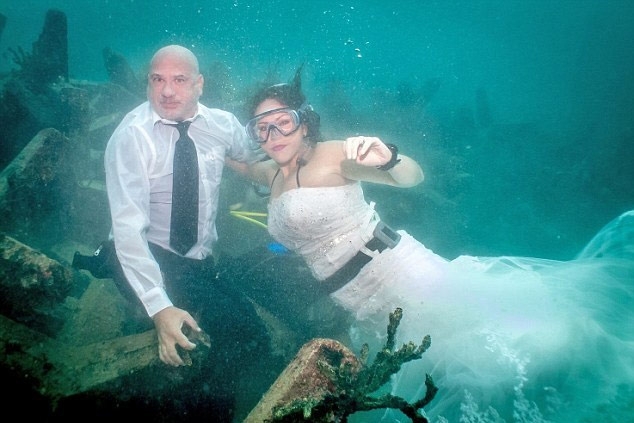 بالفيديو- زواج في أعماق المحيط و'المعازيم' أسماك قرش!