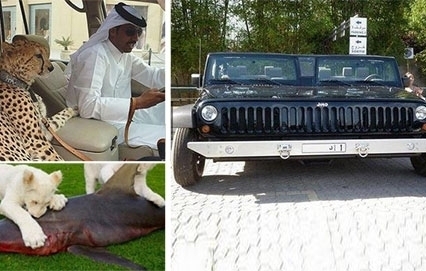 أمور غير مألوفة فقط في دبي!  