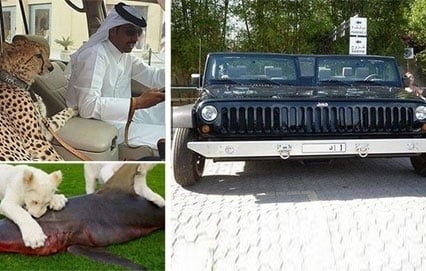 أمور غير مألوفة فقط في دبي!  