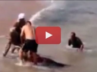 بالفيديو- شاب ضحى بنفسه لينقذ والده من الغرق... هل مات؟