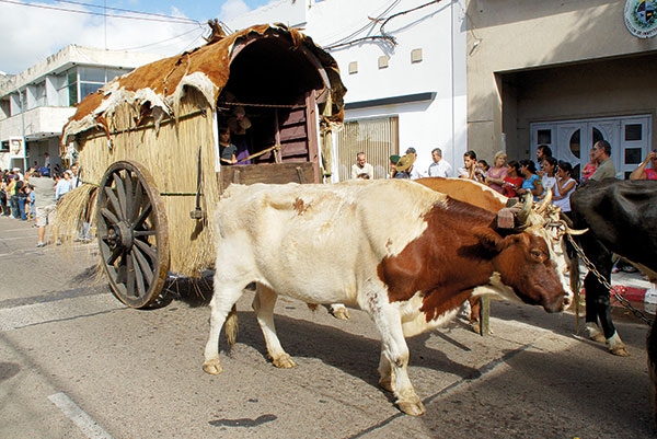 مونتيفيديو Montevideo عاصمة  جمالها شريط من الروائع
