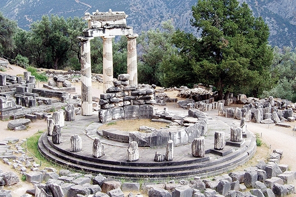 رؤية الدلافين تجلب الحظ 