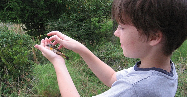 طفلي يخاف من الحيوانات... ما الحلّ