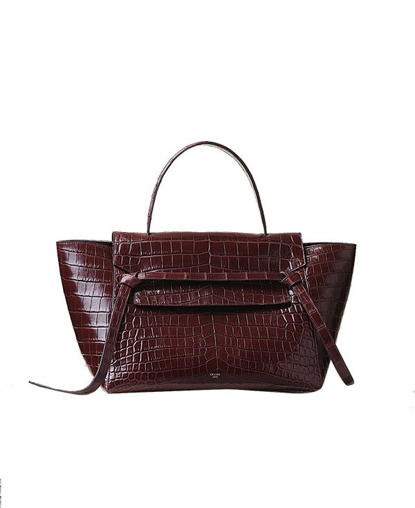 حقيبة Belt Bag من Celine