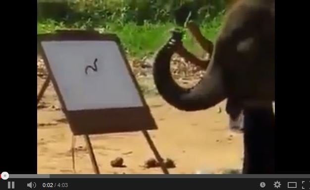 فيديو مذهل لـ 