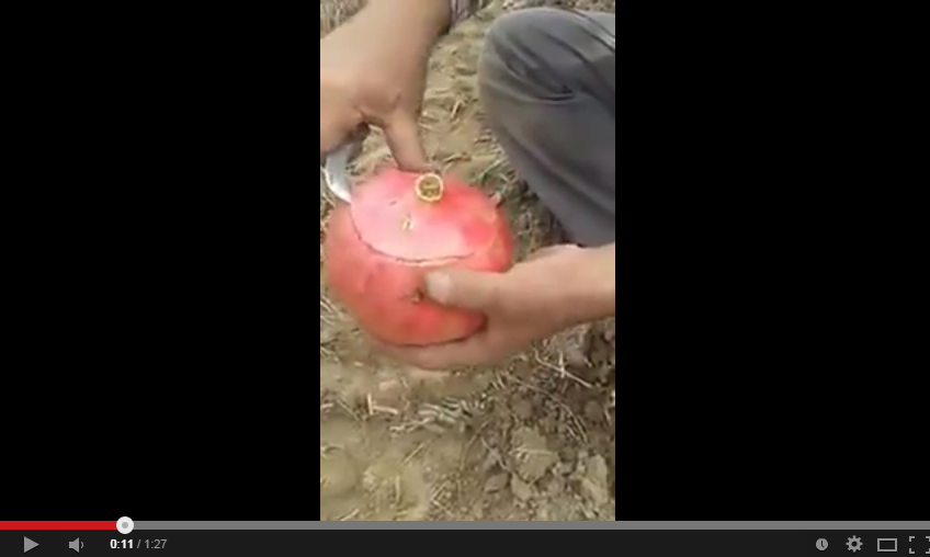 بالفيديو- إلى كل سيدات البيوت، هذه أسرع وأسهل طريقة لتقشير الرمان