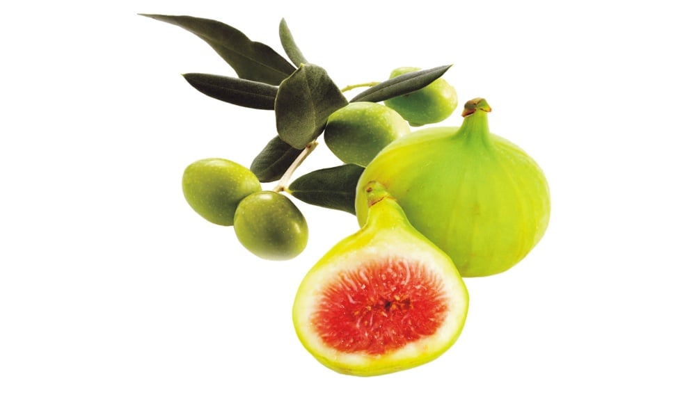 بعد أكثر من 1400 سنة، علماء يابانيون إكتشفوا معجزة القرآن الكريم في التين والزيتون، اكتشفوا التفاصيل...