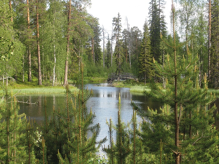 لابلاند الفنلندية... ثلاثة أيام في عالم الإفتراض وتفاصيله ( الحلقة الثانية)