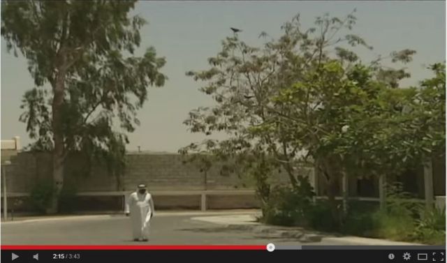 بالفيديو- غراب يهاجم مواطن اماراتي يومياً ويجعل حياته جحيماً