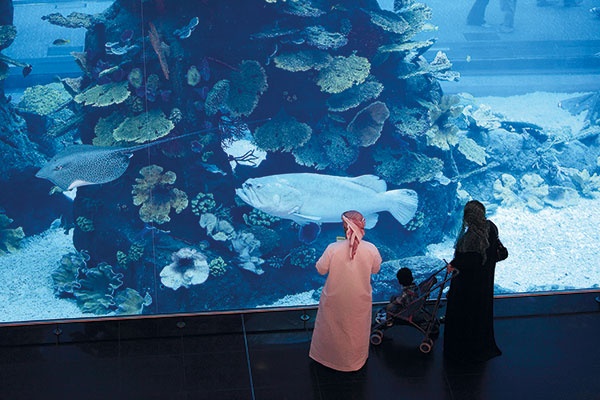 أزواج يهربون من زوجاتهم في الأماكن العامة والأسواق