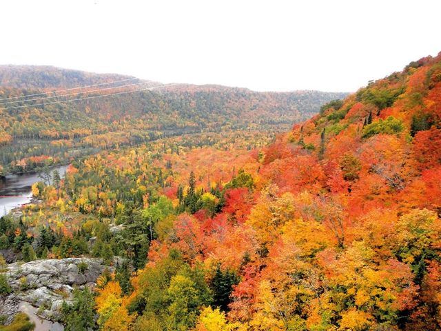 أغاوا كانيون Agawa Canyon في كندا 