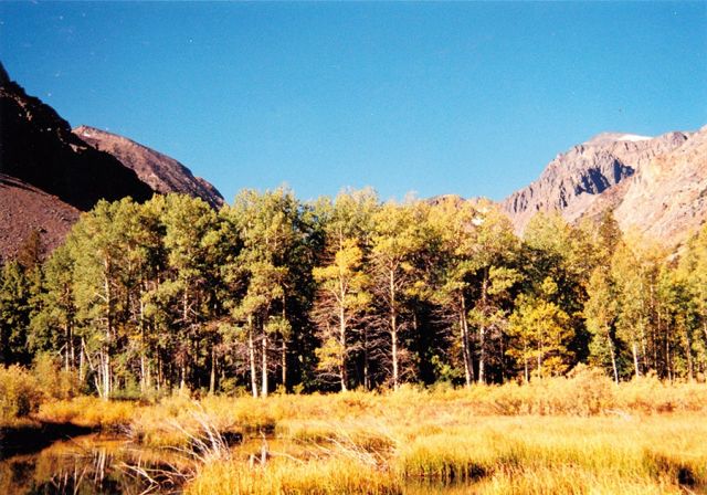بيشوب كريك كانيون Bishope Creek Canyon في كاليفورنيا في أميركا