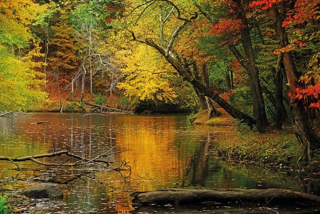 وايت ماونتين White Mountains في نيو هامشير في أميركا