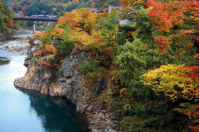 نارا اليابان متاهة ألوان خريفية تخطف الأنفاس