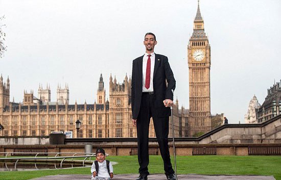 بالصور- لماذا اجتمع أطول وأقصر رجل في العالم لأول مرة في تاريخهما؟ وأين؟