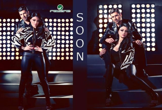 أخيراً، ظهر سرّ السيلفي بين وائل وهيفاء وهبي