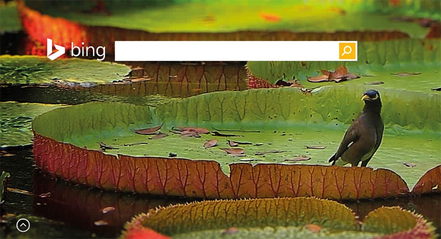 “مايكروسوفت” تجلب مزايا جديدة إلى محرك “بينغ” لتجعله أكثر ذكاء