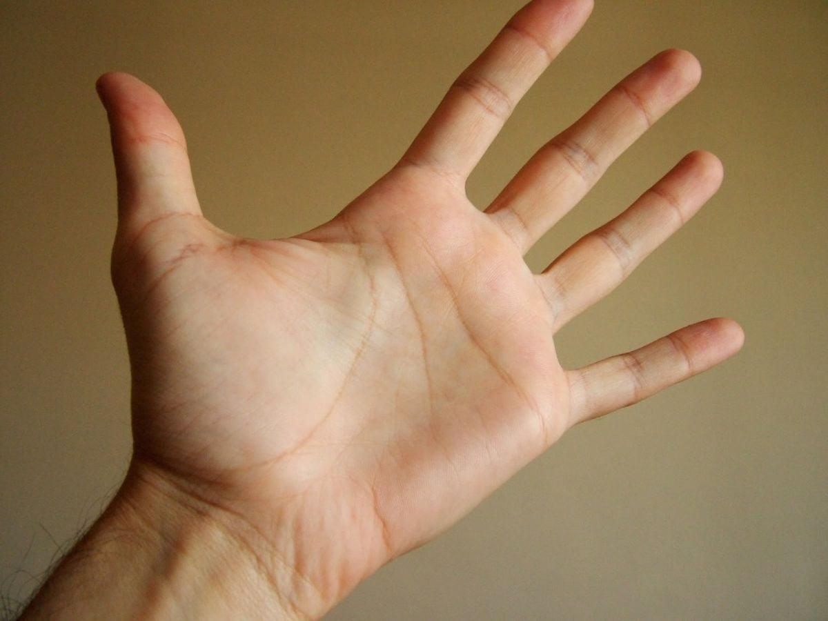 اعرفي شخصيتك من شكل يديك! طويلة صغيرة نحيلة أم مكتنزة؟