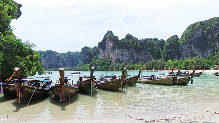 روائع الشرق الأقصى أشبعي شغفك بالطبيعة وكائناتها