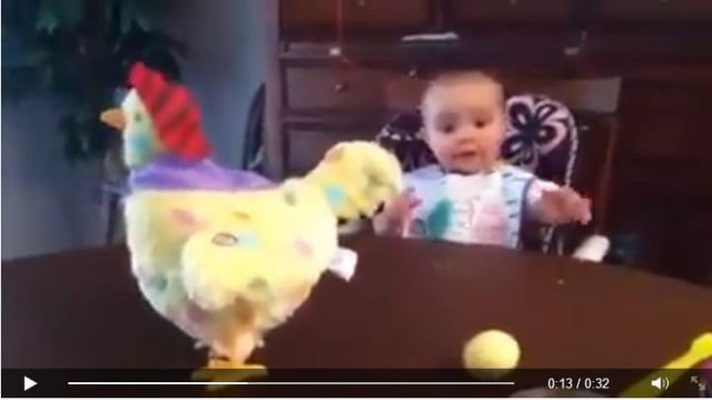 بالفيديو - رد فعل غريب من الطفل عندما رأى الدجاجة تبيض!