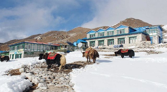 رياضة المشي في الهيملايا في النيبال حيث تلامسين سقف العالم