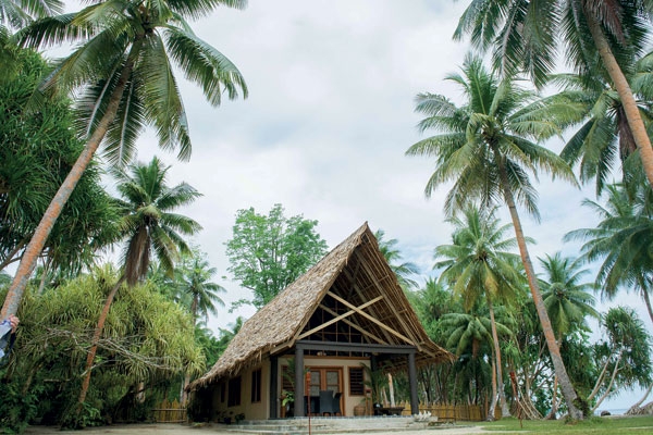 جزر سولومون لآلئ ملكية تعوم وسط المحيط الهادئ