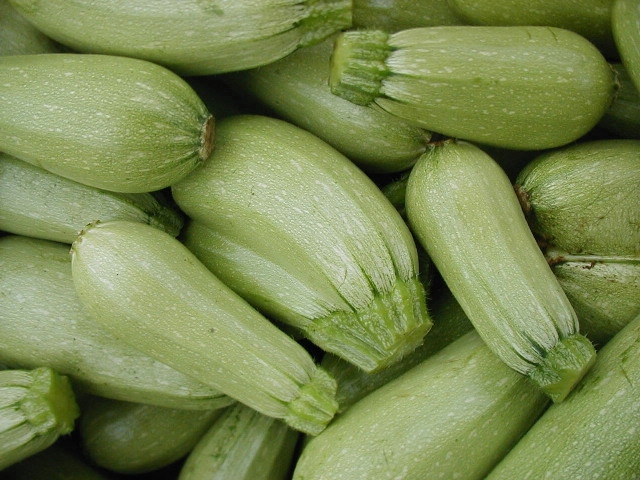 الكوسا لخفض الوزن والوقاية من الامراض