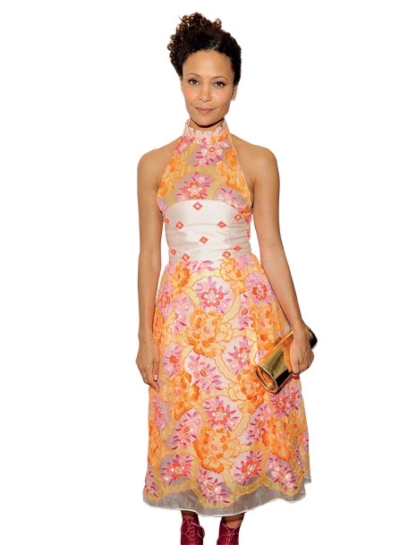 تاندي نيوتن