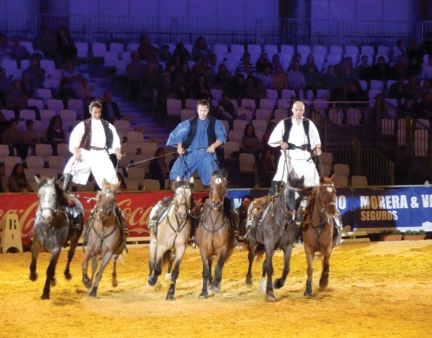 جيرز وإشبيلية في أسبانيا ومتعة التبختر على جواد وسط عالم الأندلس 