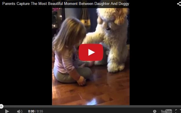 700 ألف مشاهدة في أقل من أسبوع لطفلة تعلّم كلبها المصافحة!