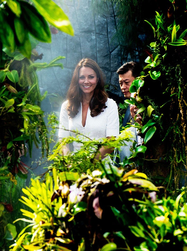 شعبٌ مهذب وأطباق لذيذة في سنغافورة ... 5 عناوين أحدها سحر الأميرة كايت