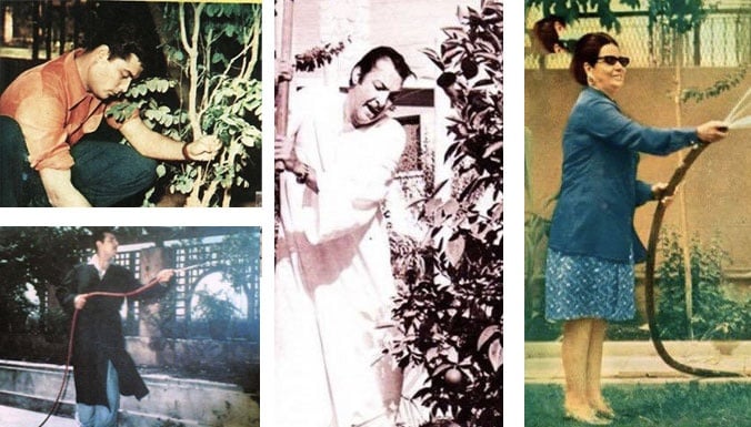 صور نادرة لفناني الزمن الجميل وهم يهتمون بحدائق منازلهم