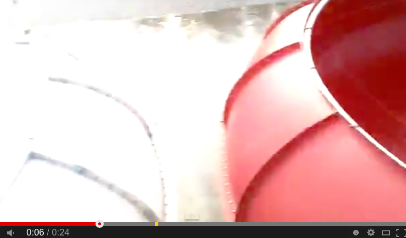 بالفيديو- أسموها 