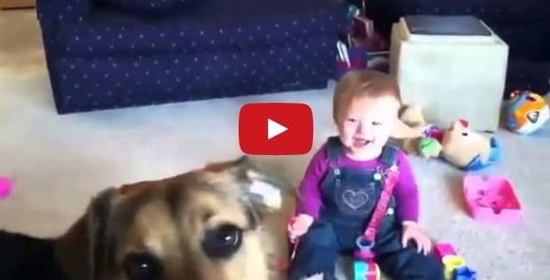 بالفيديو- شاهدوا ماذا فعل هذا الطفل عندما رأى فقاعات الصابون لأول مرة!!!