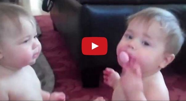 بالفيديو- توأم يتصارع من أجل 