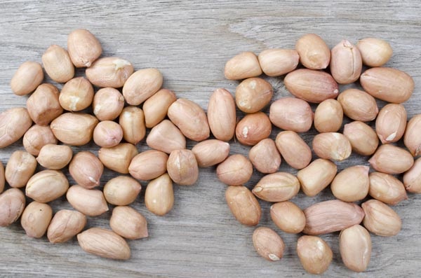 الفول السوداني يحمي من مرض القلب!