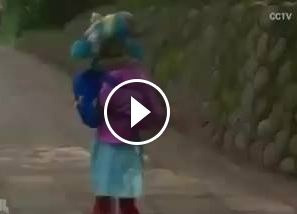 بالفيديو- كلب يرتدي الزي المدرسي، ويسير في الشارع على قدميه! هل تصدقون؟