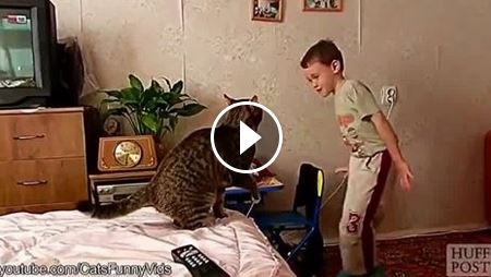 بالفيديو- المواجهة الأخيرة بين القطط والأطفال! من ربح؟