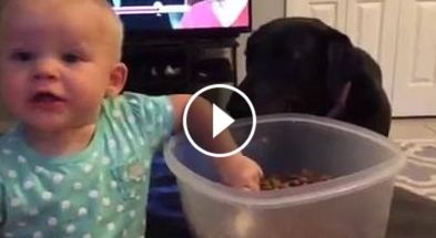 بالفيديو- هذه أغرب طريقة لإطعام كلب!!! نحب هذه الفتاة