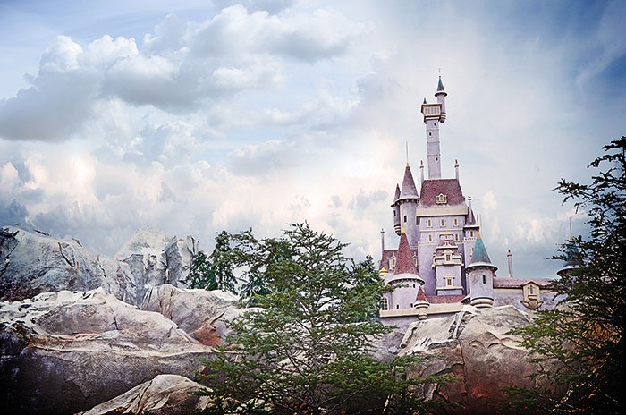 نعم... الأحلام تتحقق