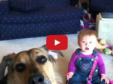 بالفيديو- ضحك هيستيري من هذا الطفل بسبب كلب وفقاعات صابون!