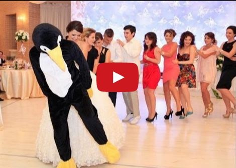 بالفيديو- ما قصة رقصة البطريق في الأعراس؟