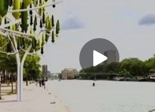 بالفيديو- شجرة تولّد الكهرباء!