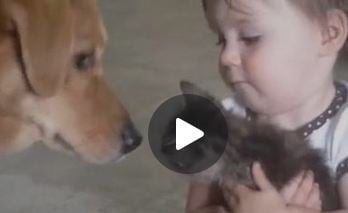 شاهدوا هذا الفيديو وستغيّرون نظرتكم للعلاقة بين الأطفال والحيوانات!