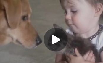 شاهدوا هذا الفيديو وستغيّرون نظرتكم للعلاقة بين الأطفال والحيوانات!