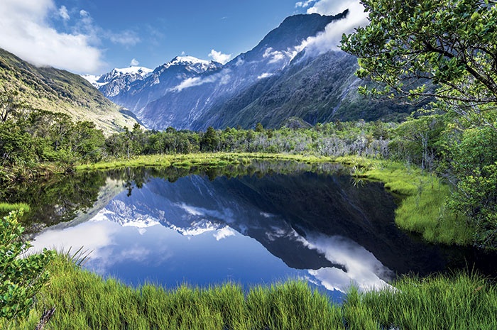بين هايلاندز وغلاسغو كل الترف الاسكتلندي
