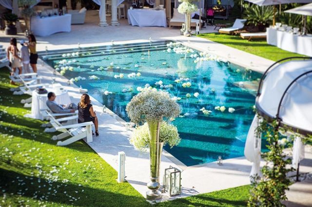 أزهار بيضاء فوق سطح الماء