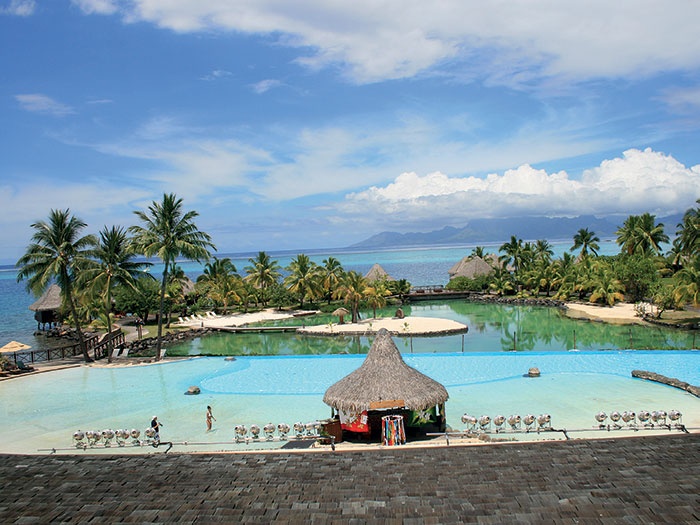 شهر عسل بأسلوب المشاهير